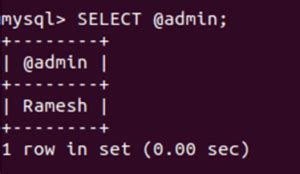 mysql select into variable|execute .